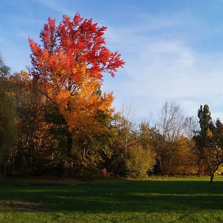 Les Luz - D'hotes Frühstückspension