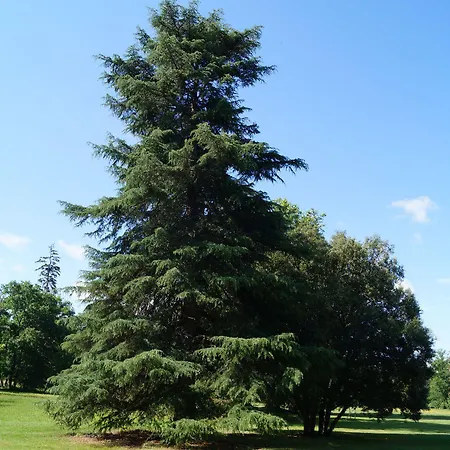 Les Luz - D'hotes Frühstückspension