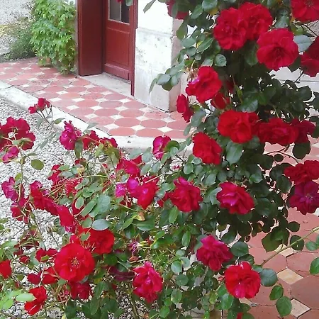 Frühstückspension Les Luz - D'hotes 3*