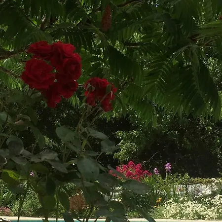 Frühstückspension Les Luz - D'hotes 3*