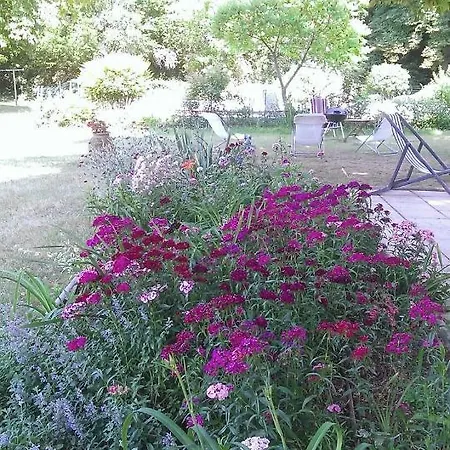 Frühstückspension Les Luz - D'hotes Uzeste