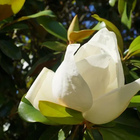 Les Luz - D'hotes Frühstückspension