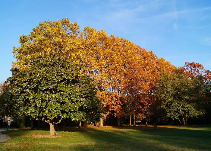 Les Luz - D'hotes 3*