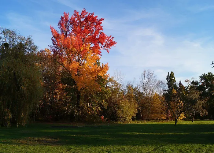 Les Luz - D'hotes B&B