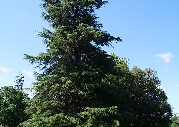 Les Luz - D'hotes B&B