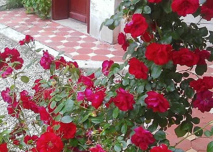 B&B Les Luz - D'hotes 3*