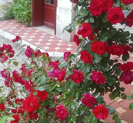 Les Luz - D'hotes 3* Uzeste