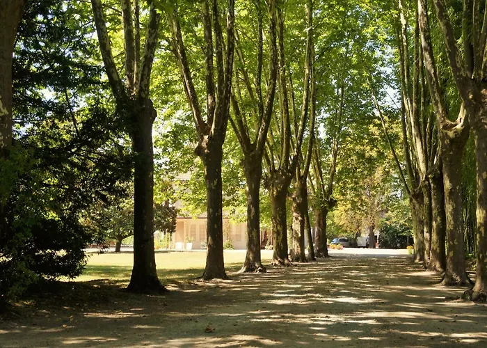 Les Luz - D'hotes Bed & Breakfast Uzeste