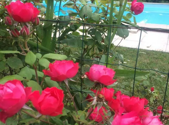 Les Luz - D'hotes 3*