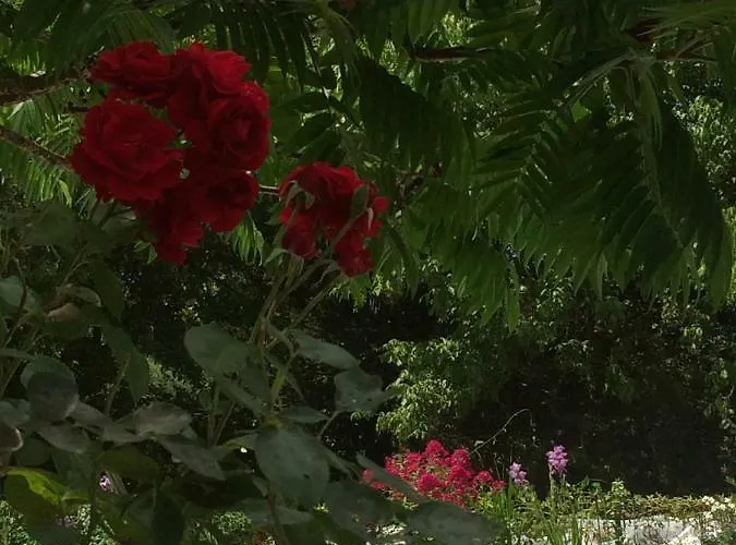 B&B Les Luz - D'hotes 3*