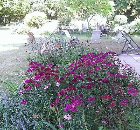 B&B Les Luz - D'hotes Uzeste