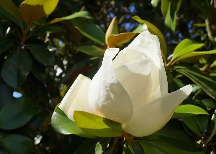 Les Luz - D'hotes B&B